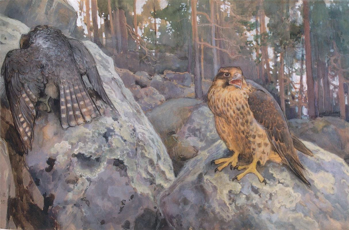 Eero Järnefelt - Falchi nella foresta